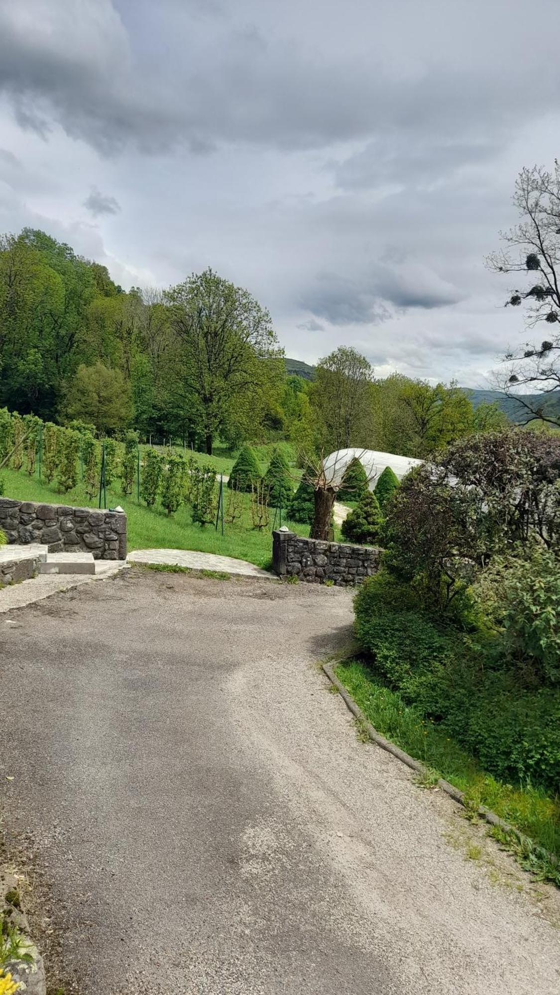 Chambre D'Hote Dans Le Cantal Vallee De La Maronne Saint-Martin-Valmeroux Eksteriør bilde